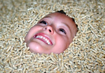 Boom für Pellets – Experten rechnen mit 170.000 Pelletsheizanlagen im Jahr 2020 in Österreich.