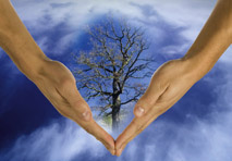 Corporate Social Responsibility (CSR) ist in aller Munde. Unternehmen werden stärker denn je an ökologischen und sozialen Maßstäben gemessen.