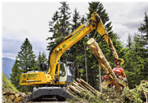 Liebherr-Mobilbagger A 914 C Forester Litronic bei der Astung und Sortierung.