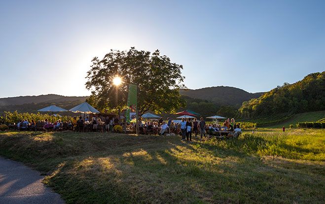 Die Genussmeile 2013 lockt mit kulinarischen Schmanckerl, guten Wein und herbstliche Sonnenuntergänge in der Thermenregion Wienerwald.