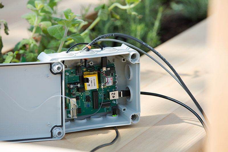 In dem M2M-Showcase "#ConnectedGarden" vernetzt eine IoT-Box von T-Mobile ein "SmartBeet", um Messwerte wie Feuchtigkeit der Erde übertragen zu können.