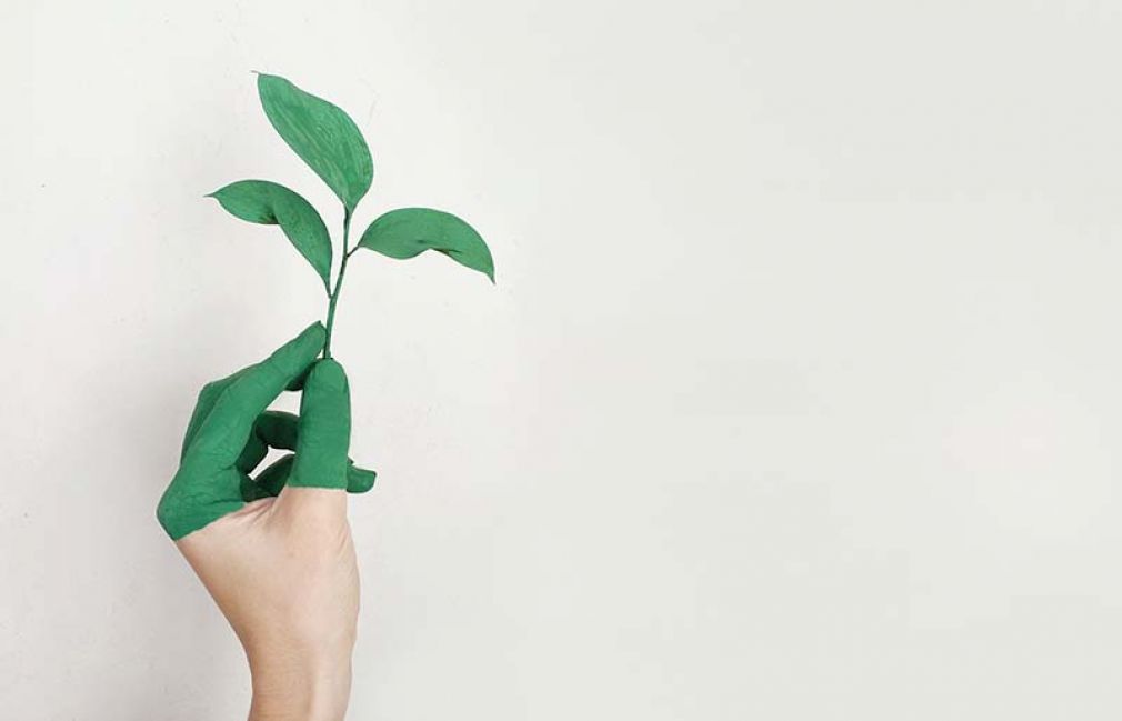 Intelligenz für Energieverbrauch