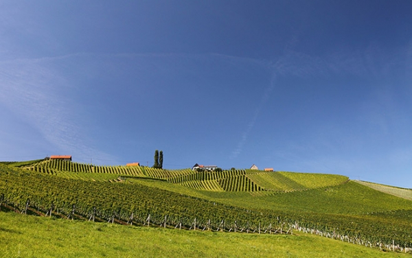 Unterwegs in der Südsteiermark