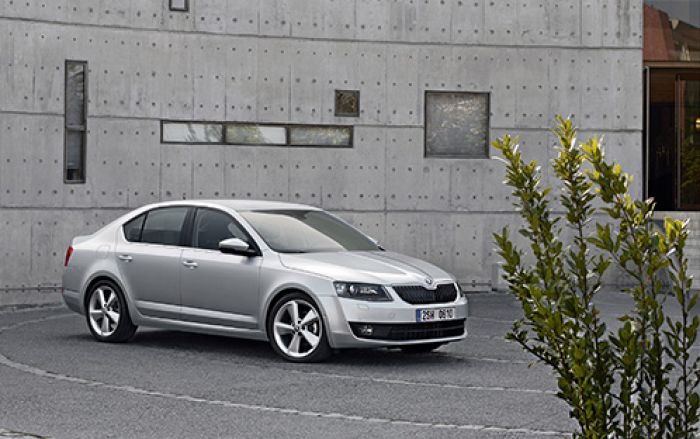 (Foto: Skoda) 