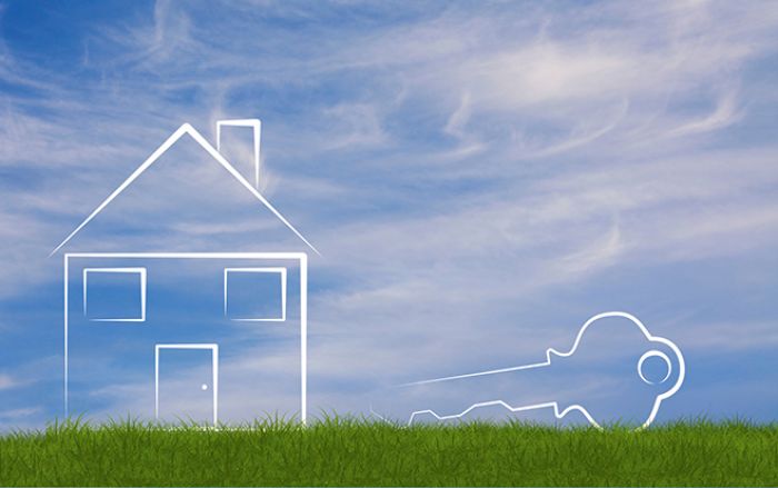 Die wichtigsten Immobilienentwickler können fast durch die Bank auf ein zufriedenstellendes erstes Halbjahr zurückblicken.
