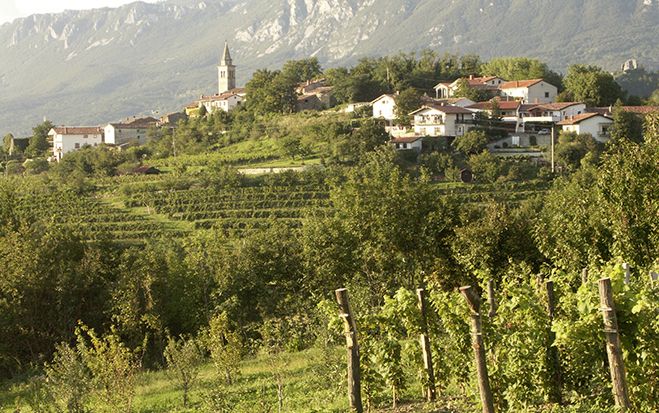 (Foto: Batic, Marijan, Mocivnik) Geheimtipp Vipava-Tal. Verträumte Dörfer laden zum Wandern und Walken ein.