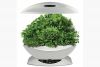 Cool Stuff: rachio – sprinkler &amp; aero garden