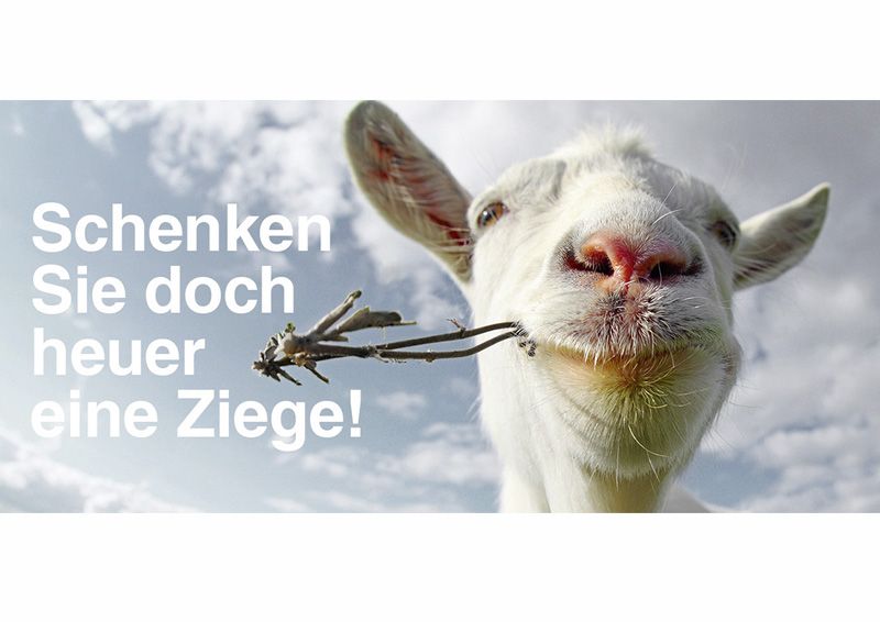 Schenken mit Sinn